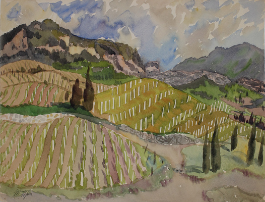 Прибыловская Татьяна Викторовна. Виноградники